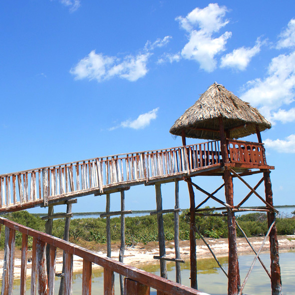 Isla Pajaros